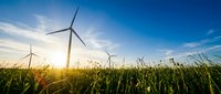 Wind turbines generating renewable energy in agricultural field at sunrise with golden crops and clear sky.