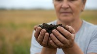 Senior farmer holding rich dark soil in cupped hands showcasing fertile earth quality in agricultural field background for organic farming concepts.