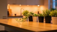 Modern kitchen interior with small potted plants on wooden countertop creating cozy home atmosphere with warm lighting and contemporary design elements.