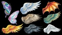 Colorful fantasy wings collection isolated on transparent background, ready for t-shirt design, clipart, stickers, sublimation and print-on-demand projects.