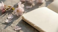 Open notebook with blank pages surrounded by delicate pink cherry blossom petals on rustic wooden surface for journaling and creative writing projects.