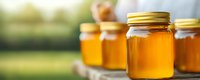Fresh organic honey in glass jars arranged on wooden surface against blurred natural background, golden sunlight illuminates pure raw honey.