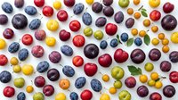 Colorful assortment of fresh stone fruits including plums, cherries, apricots and berries arranged on white background for healthy eating concepts.