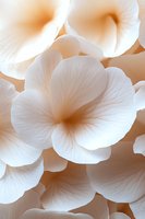 Delicate white flower petals with soft peach background create dreamy macro composition showing intricate vein patterns and gentle natural curves.