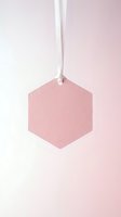 Pink hexagonal gift tag hanging on white ribbon against soft gradient background for branding and product labeling projects.