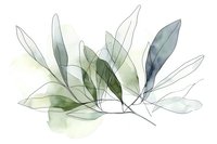 Delicate watercolor leaves in transparent green and gray tones creating an ethereal botanical composition with overlapping translucent shapes.