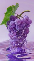 Fresh purple grapes with water drops and splashes on violet background, green leaf attached to bunch, macro photography with reflection in liquid surface.