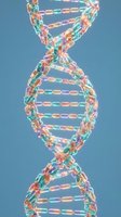 Colorful DNA double helix strand with glowing nucleotide bases on blue background, representing genetics, genomics, and biotechnology research.