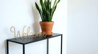 Minimalist entryway console table with gold wire welcome sign and snake plant in terracotta pot against white wall.