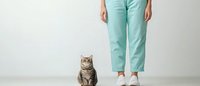 Woman in mint green pants and white sneakers standing next to gray tabby cat on light background. Minimalist composition showing pet and owner relationship.