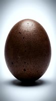 Brown speckled egg with natural texture isolated on white background, suitable for food, nutrition, cooking, and agricultural design projects.