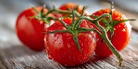 Fresh ripe red tomatoes with water droplets on wooden surface. Organic vegetables for healthy cooking and Mediterranean cuisine preparation.
