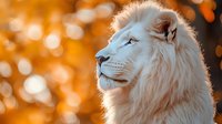 Majestic white lion in profile with golden bokeh background, wildlife photography concept for luxury branding and nature themes.