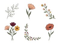 Isolated botanical line art elements with watercolor florals, including leaves, stems, and blooms in soft peachy and burgundy tones. Perfect for wedding invitations, greeting cards, fabric design, and decorative clipart applications.