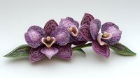Purple orchid flowers with delicate patterns and textures on petals, arranged with green leaves against neutral background. Elegant floral composition.