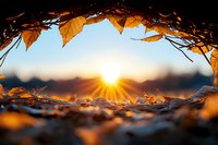 Golden autumn leaves frame dramatic sunset view through natural arch, with sunburst and bokeh effects creating magical seasonal atmosphere at dusk.