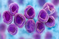 Purple microscopic bacterial cells cluster against blurred blue background showing detailed cellular structure and membrane texture in scientific visualization.