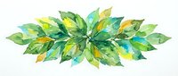 Watercolor leaves arranged in circular pattern with green, yellow, and turquoise tones, isolated on white background for design projects.