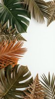Tropical leaves frame with monstera, palm fronds and ferns on white background. Natural botanical border for summer design and decoration projects.