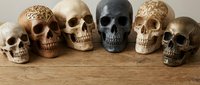 Collection of decorative human skulls in various colors and textures arranged on wooden surface for Halloween, gothic decor, medical education or artistic display.