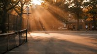 Golden hour sunlight streaming through autumn trees onto empty basketball court with chain-link fence creating dramatic shadows and warm atmospheric lighting.