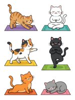 Cartoon cats in yoga poses on colorful mats. Orange tabby stretching, white cat meditating, calico balancing, black cat in lotus position, ginger cat in downward dog, gray cat resting. Isolated clipart for wellness designs.