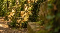 Sunlit forest path with moss-covered stone walls and lush green vegetation, ideal for nature, travel, and outdoor design projects.
