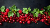 Fresh red raspberries and currants arranged in decorative border with green leaves on dark background, natural organic berries composition for food design.