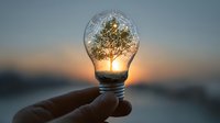 Tree growing inside light bulb held against sunset sky, symbolizing green energy, environmental conservation, and innovative sustainability solutions.