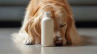 Sleeping Golden Retriever dog lying next to white cosmetic bottle on light background, natural beauty and pet care concept for advertising and design.
