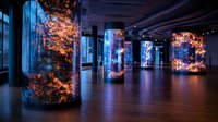 Modern museum exhibition hall with illuminated cylindrical displays featuring organic coral-like installations in blue and orange lighting creating immersive art experience.