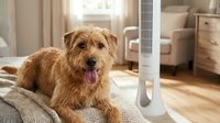 Adorable golden-brown mixed breed dog relaxing on cozy blanket next to modern air purifier in bright contemporary living room with natural sunlight.