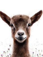 Close up portrait of brown baby goat with wildflowers on white background, smiling face expression. Isolated farm animal for greeting cards and nursery art.