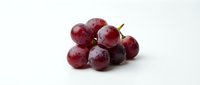 Fresh red grapes cluster isolated on white background for healthy eating, cooking, wine making and organic fruit concepts.