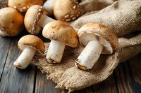 Fresh brown champignon mushrooms on rustic burlap sack and wooden table background, natural organic food photography for cooking and recipes.