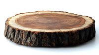 Cross section of natural wood slice showing annual growth rings and bark texture, isolated on white background for rustic decor and craft projects.