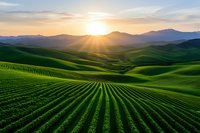 Scenic agricultural landscape with rows of crops on rolling green hills at sunset, sunbeams streaming through clouds over mountain silhouettes in golden evening light.