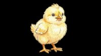 Cute yellow chick isolated on transparent background, ready for t-shirt design, clipart, stickers, print-on-demand products and sublimation projects.