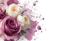Romantic composition with pink and cream roses against white background with watercolor splashes and drops, floral art design for wedding invitations and cards.