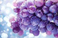 Fresh purple grape cluster with water drops and soft bokeh light effect creates dreamy atmosphere for wine and harvest concepts.