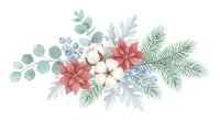 Watercolor winter holiday arrangement with poinsettia flowers, cotton bolls, eucalyptus leaves and pine branches on white background for festive designs.