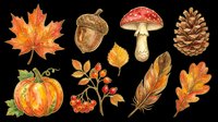 Autumn fall season elements collection with maple leaf, acorn, red mushroom, pinecone, pumpkin, rowan berries, feather and oak leaf isolated on transparent background. Ready for t-shirt design, clipart, stickers and print-on-demand projects.