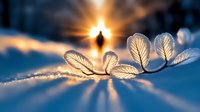 Delicate frost crystals on winter plant illuminated by rising sun creating magical bokeh effect with sunburst through crystalline ice formations in morning light.