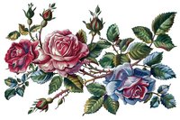 Elegant vintage floral composition featuring detailed watercolor roses in pink, red, and blue hues with realistic green leaves, perfect for wedding stationery, fabric prints and romantic designs.