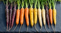 Fresh organic rainbow carrots in various colors arranged on dark slate background for healthy cooking and farm-to-table cuisine concepts.