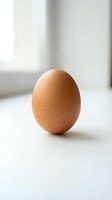 Single brown egg positioned on white surface with natural light from window, suitable for food, nutrition, cooking, and breakfast-related projects.