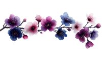 Delicate watercolor cherry blossom branch with pink, purple and blue flowers on white background, isolated floral element for spring design projects.
