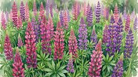 Watercolor lupine flowers in vibrant pink and purple hues with green foliage, botanical garden scene for spring and summer nature designs.
