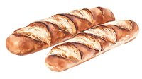 Fresh crusty baguettes with golden brown crust and distinctive scoring marks in watercolor style, isolated on white background for food packaging and menu design.