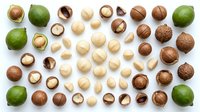 Flat lay arrangement of assorted nuts and limes on white background. Includes whole and halved macadamia nuts, cashews, almonds, and fresh green limes for food styling and culinary projects.